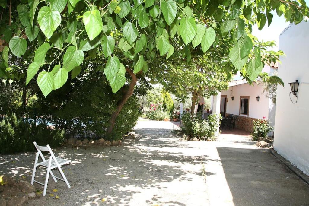 Cazorla-Alcon, Casa Hoya Don Gaspar Pozo Alcón Exteriör bild